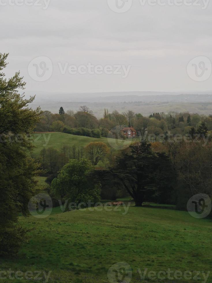 spring landscape photo