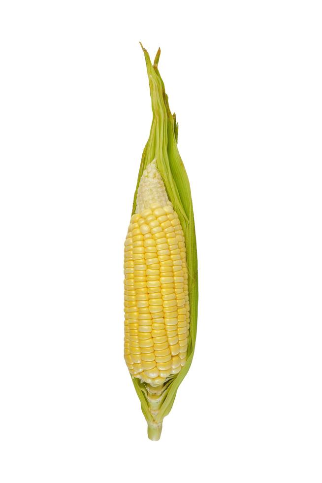 Corn cob isolated on white background with clipping path. photo