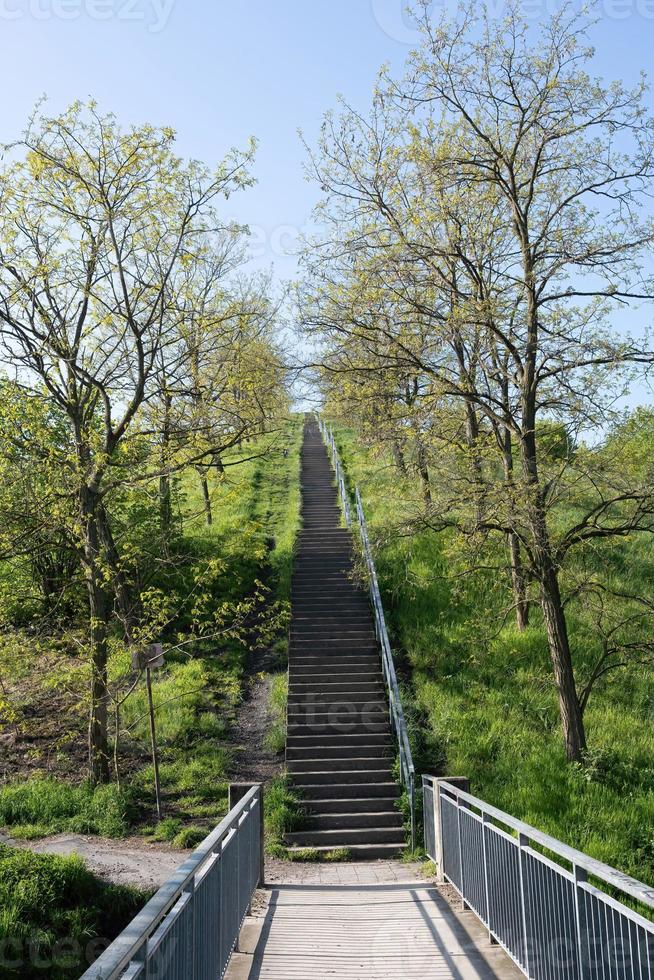 escalera al cielo foto
