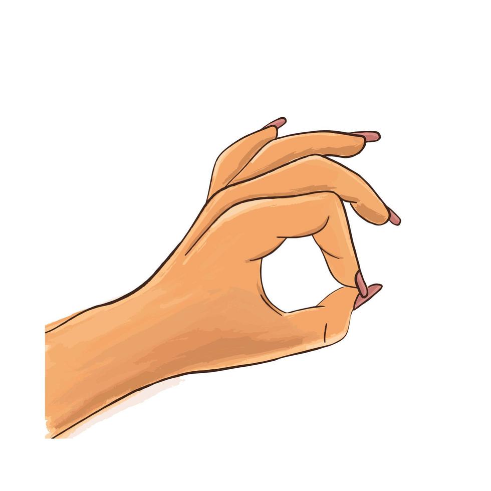 mano femenina que muestra bien, sobre un fondo blanco, uñas rosas. ilustración de stock vectorial, dedos que muestran el símbolo de un gran estado. estilo de boceto aislado, ilustración dibujada a mano. ok icono, arte pop. vector