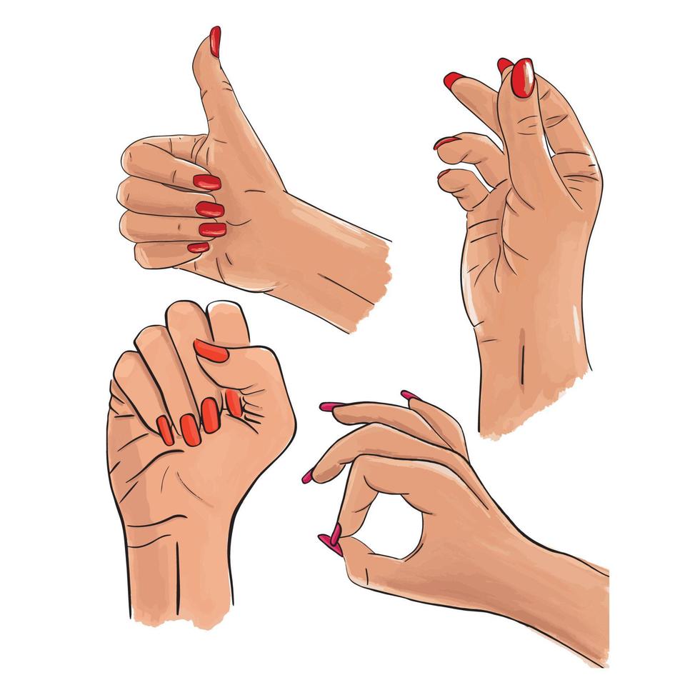Vector set of female hands and gestures. Woman hand collection - stock sketch line illustration isolated on white background. Thumbs up, snapping finger, ok, clenched fist.