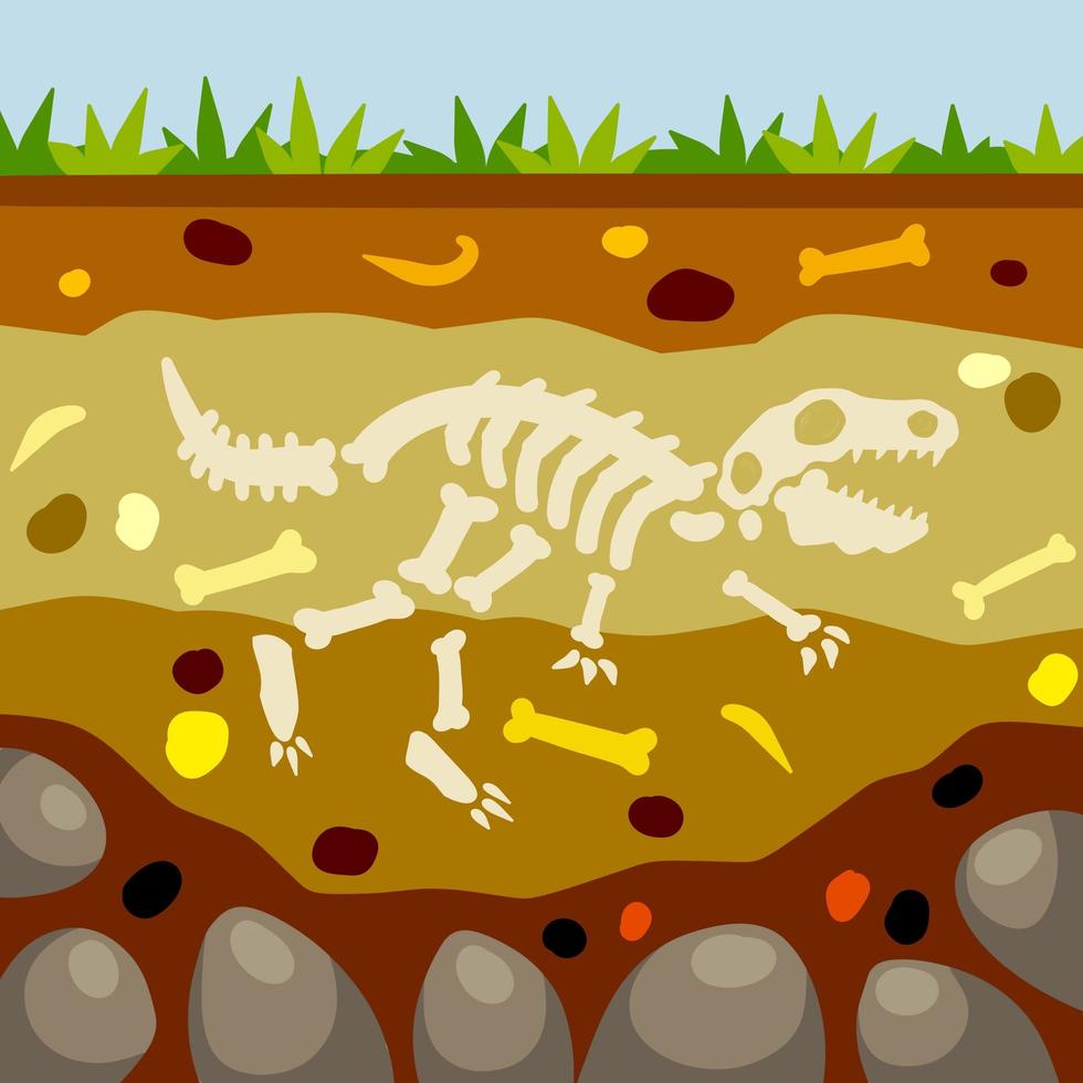 Dinosaur skeleton. Bones of a prehistoric lizard. Land in the section vector