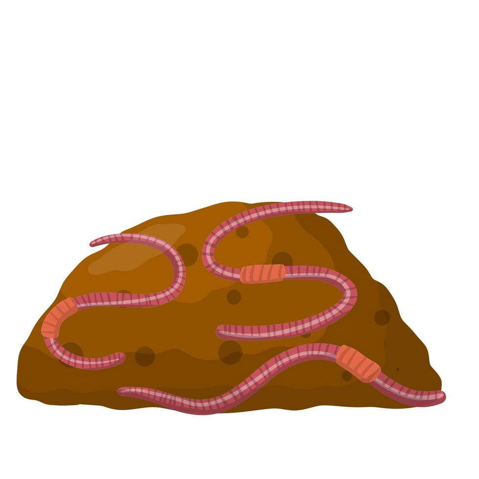 Set of earthworms in pile of ground. vector