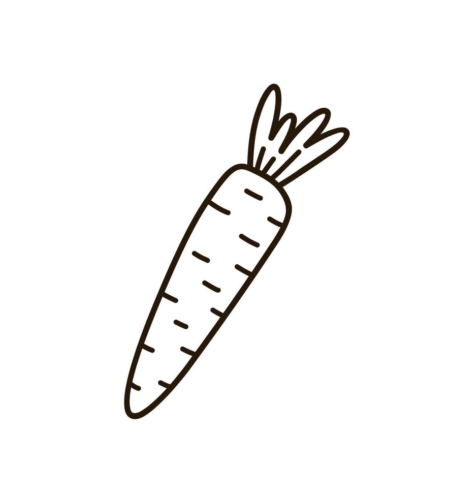 Cute carrot isolated on white background. Vector hand-drawn illustration in doodle style. Perfect for holiday designs, cards, logo, decorations,  recipes.