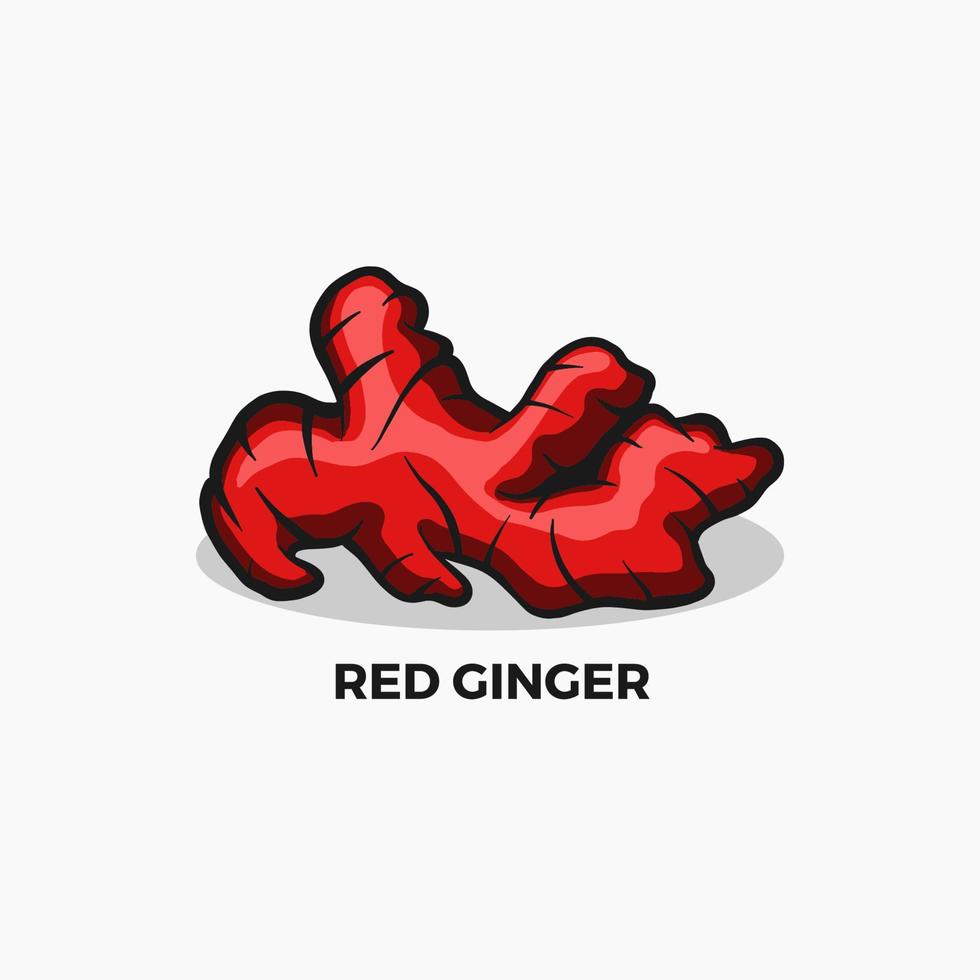 red ginger vector illustration. spicy herb ingredient. for body