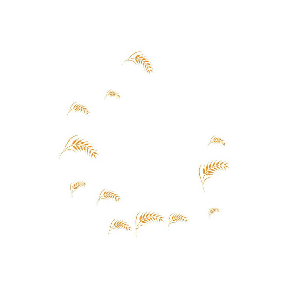 skattered wheat background vector