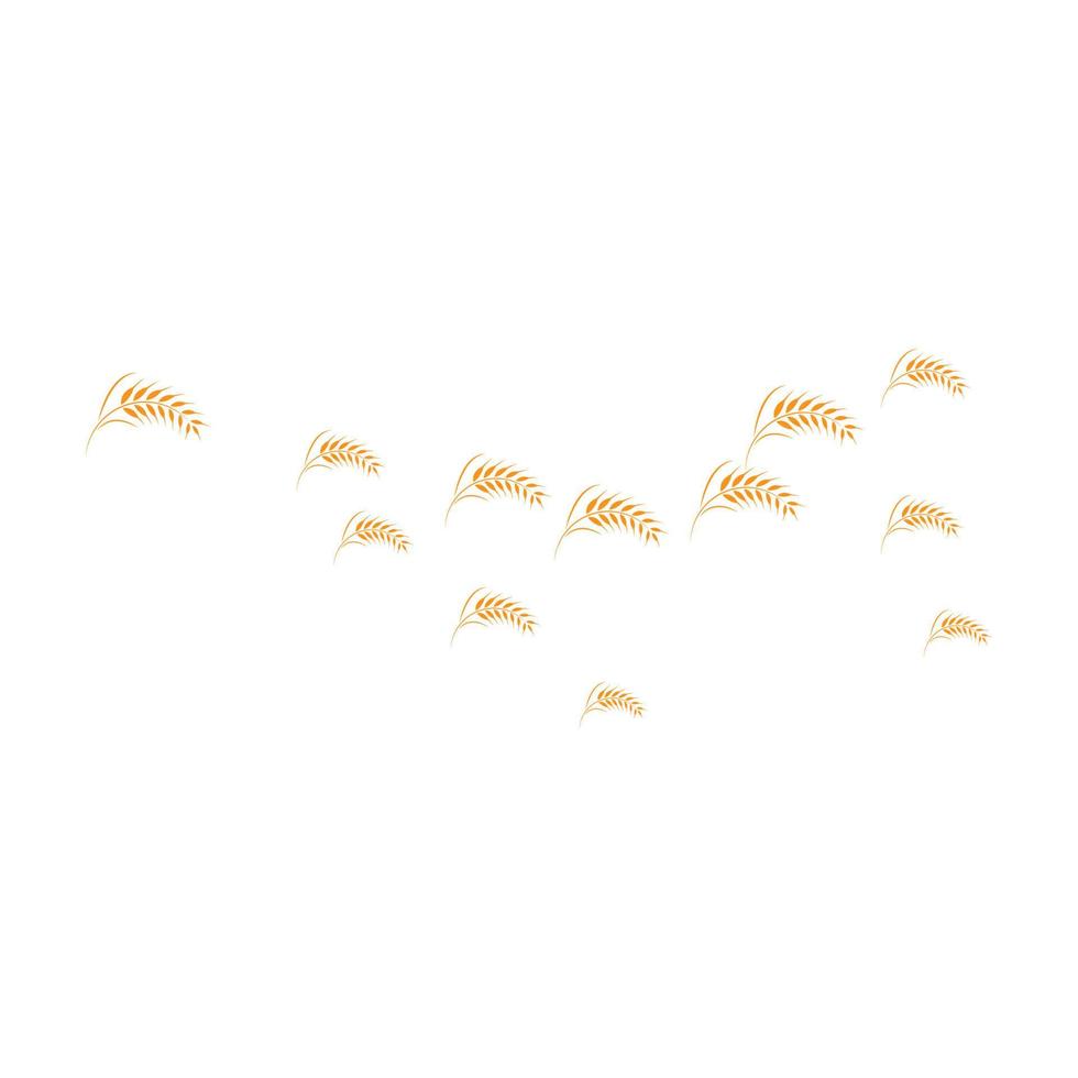 skattered wheat background vector