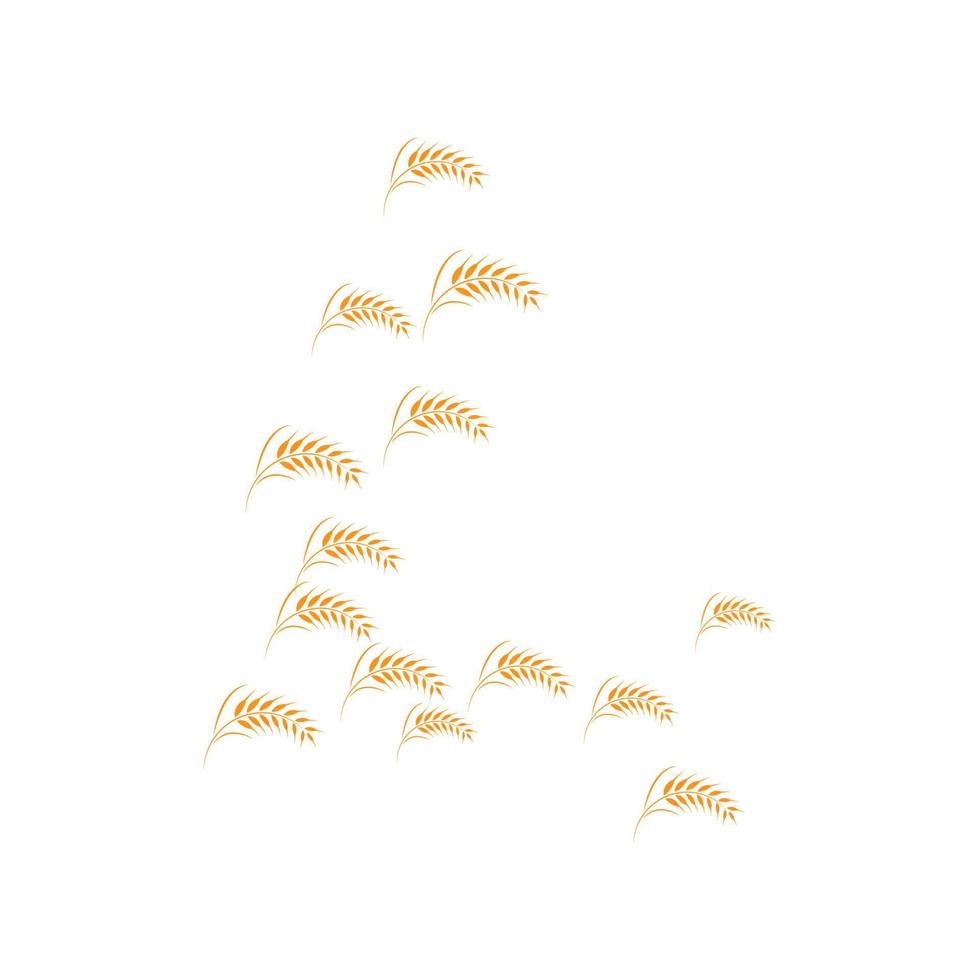 skattered wheat background vector