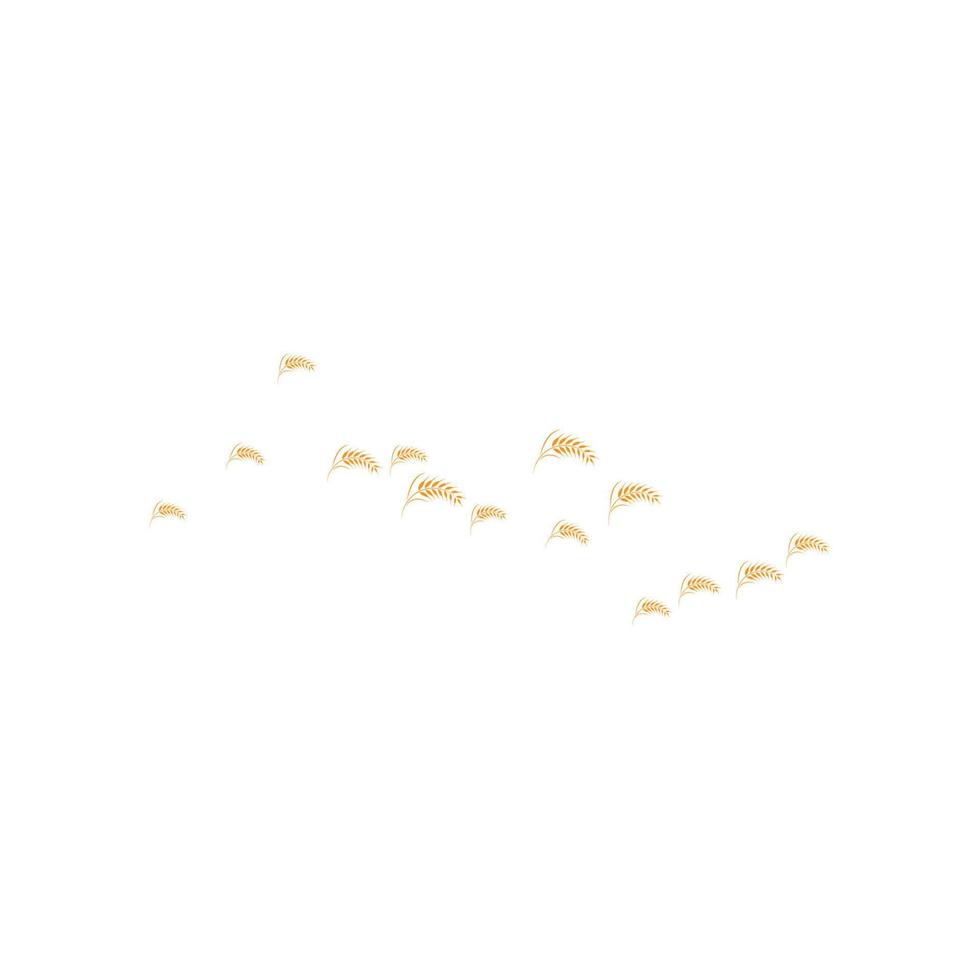 skattered wheat background vector