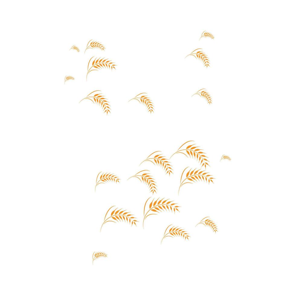 skattered wheat background vector