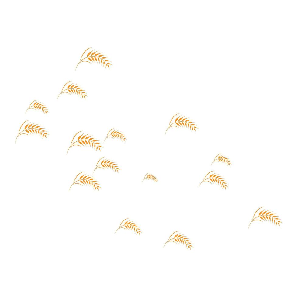 skattered wheat background vector