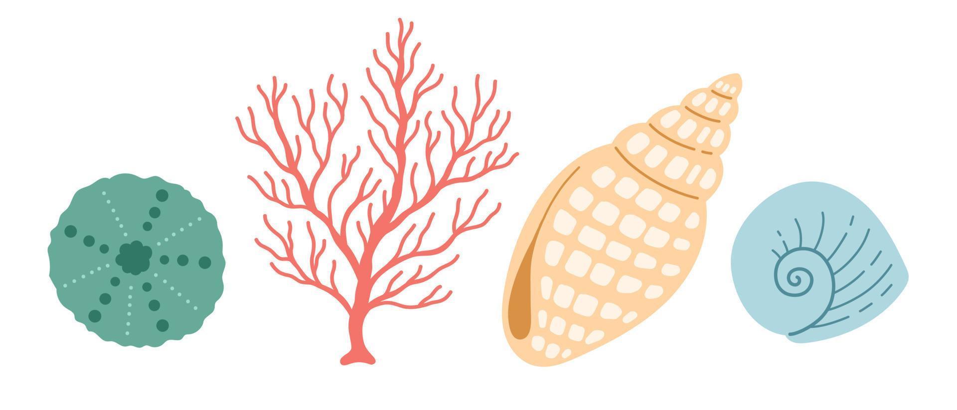 Seashell and coral vector illustration, simple color, flat design