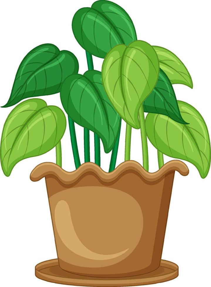 planta en una maceta en dibujos animados vector