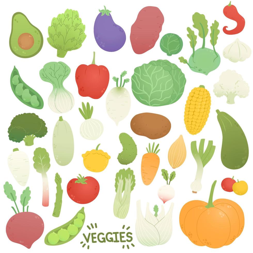 Veggies set, different vegetables in flat design, vector illustration