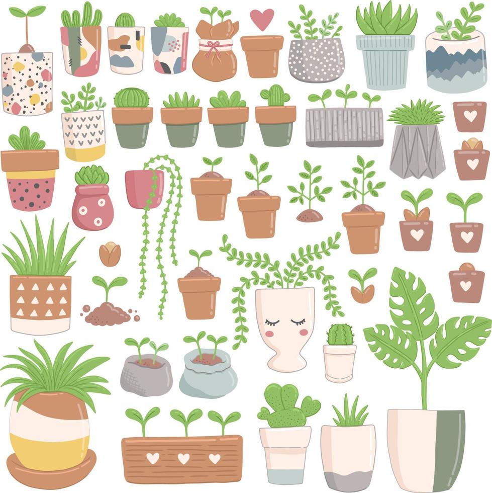 Spring set of green plants in flower pots, vector illustration