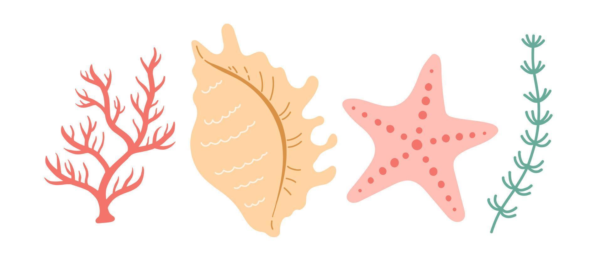 Seashell and coral vector illustration, simple color, flat design