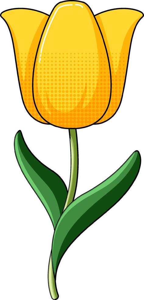 Yellow tulip with green leaves 7374912 Vector Art at Vecteezy