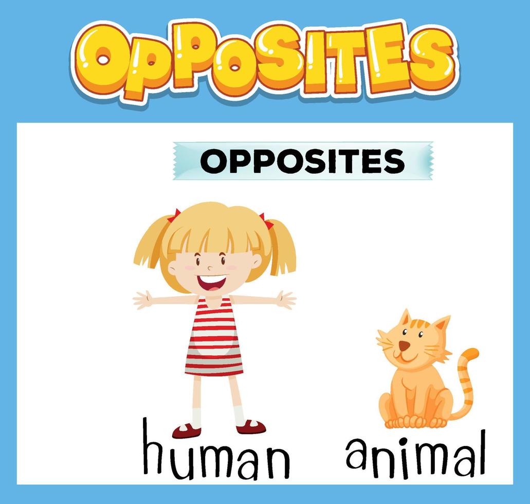 palabras opuestas en ingles para niños vector