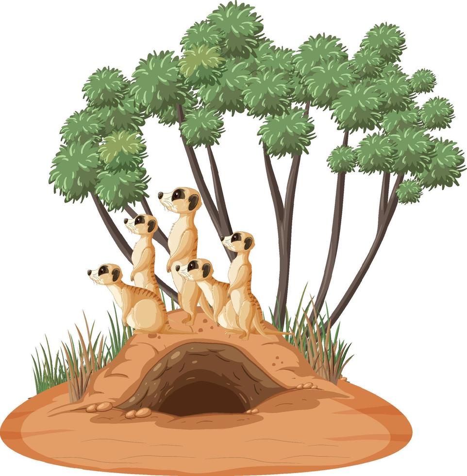Group of meerkats with burrow in cartoon style vector