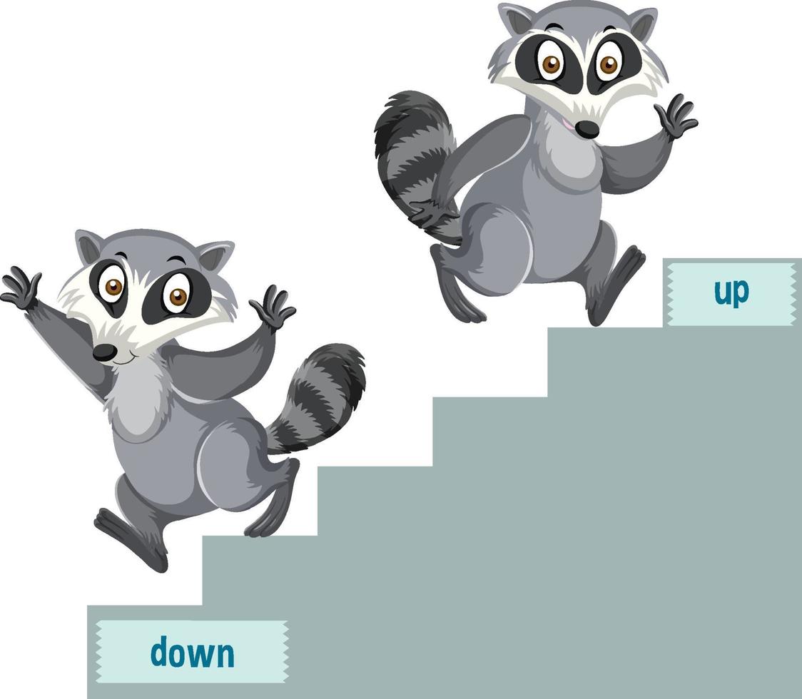 English prepositions with raccoons up and down stairs 7375076