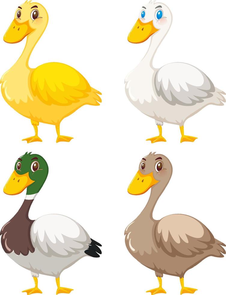 Set of cute duck cartoon vector