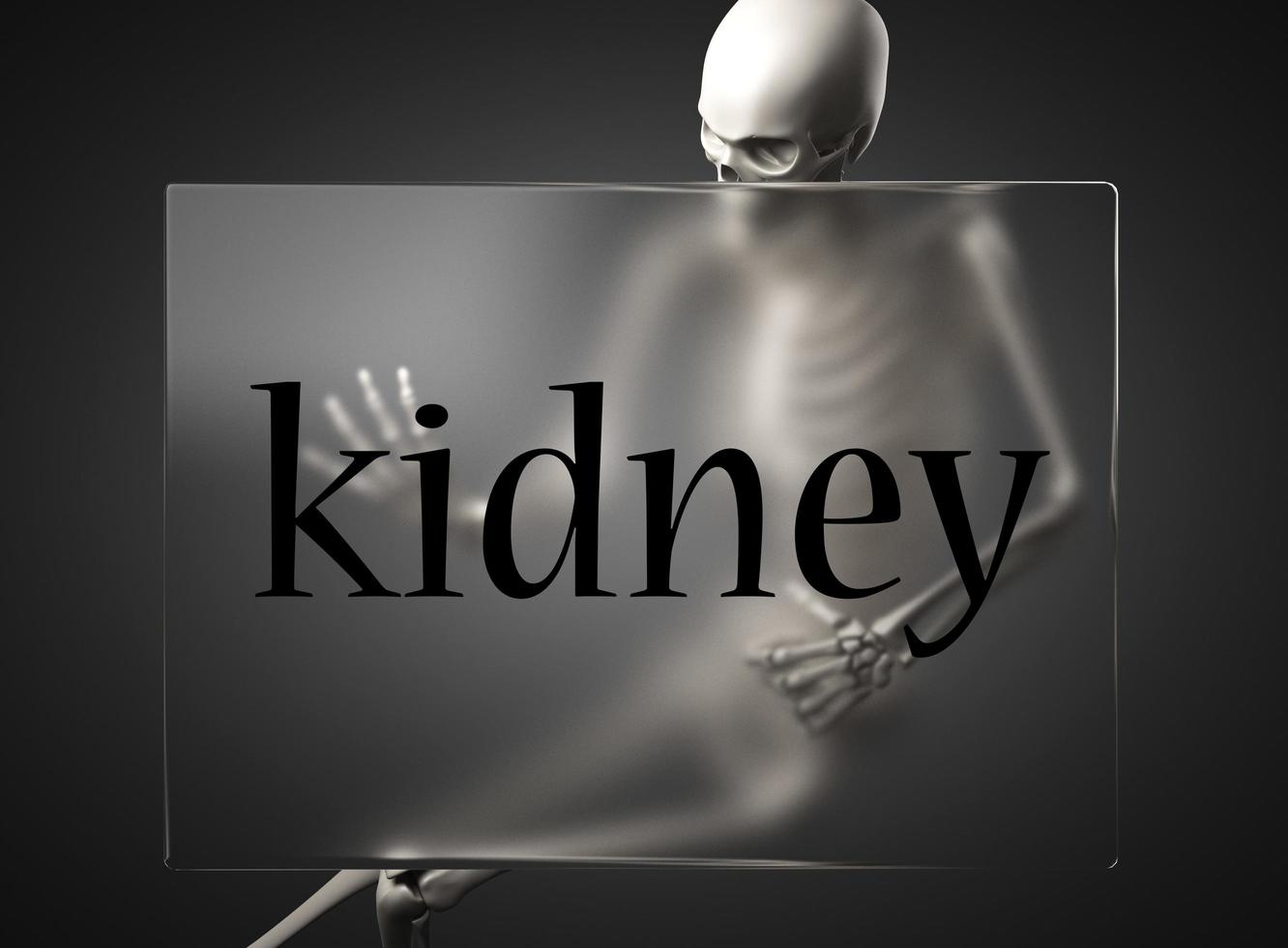 kidney word on glass and skeleton photo