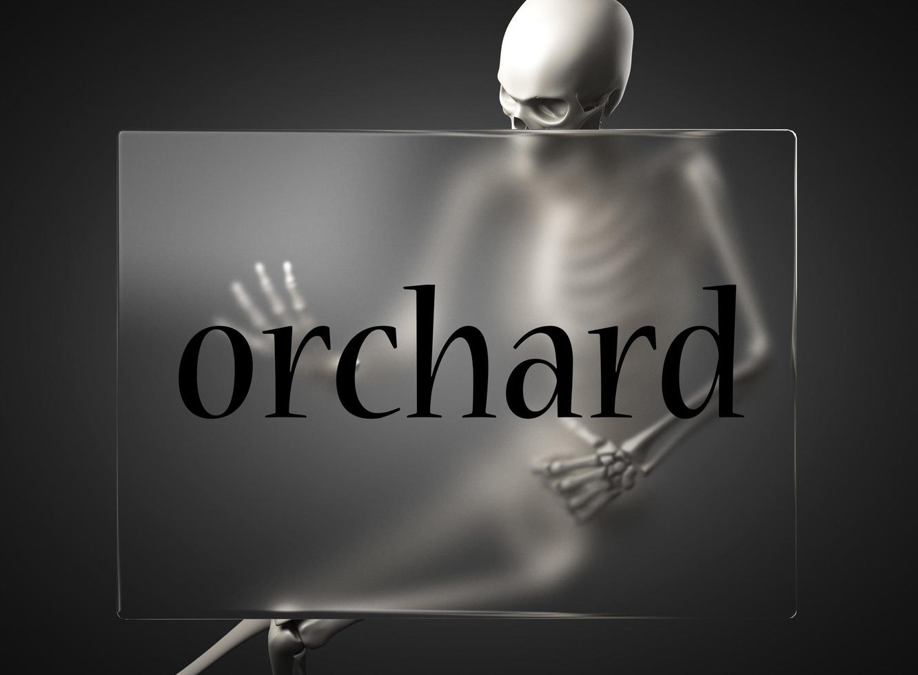 orchard word on glass and skeleton photo