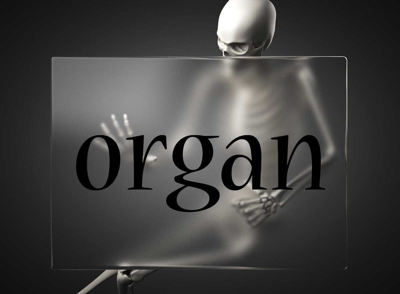 organ word on glass and skeleton photo