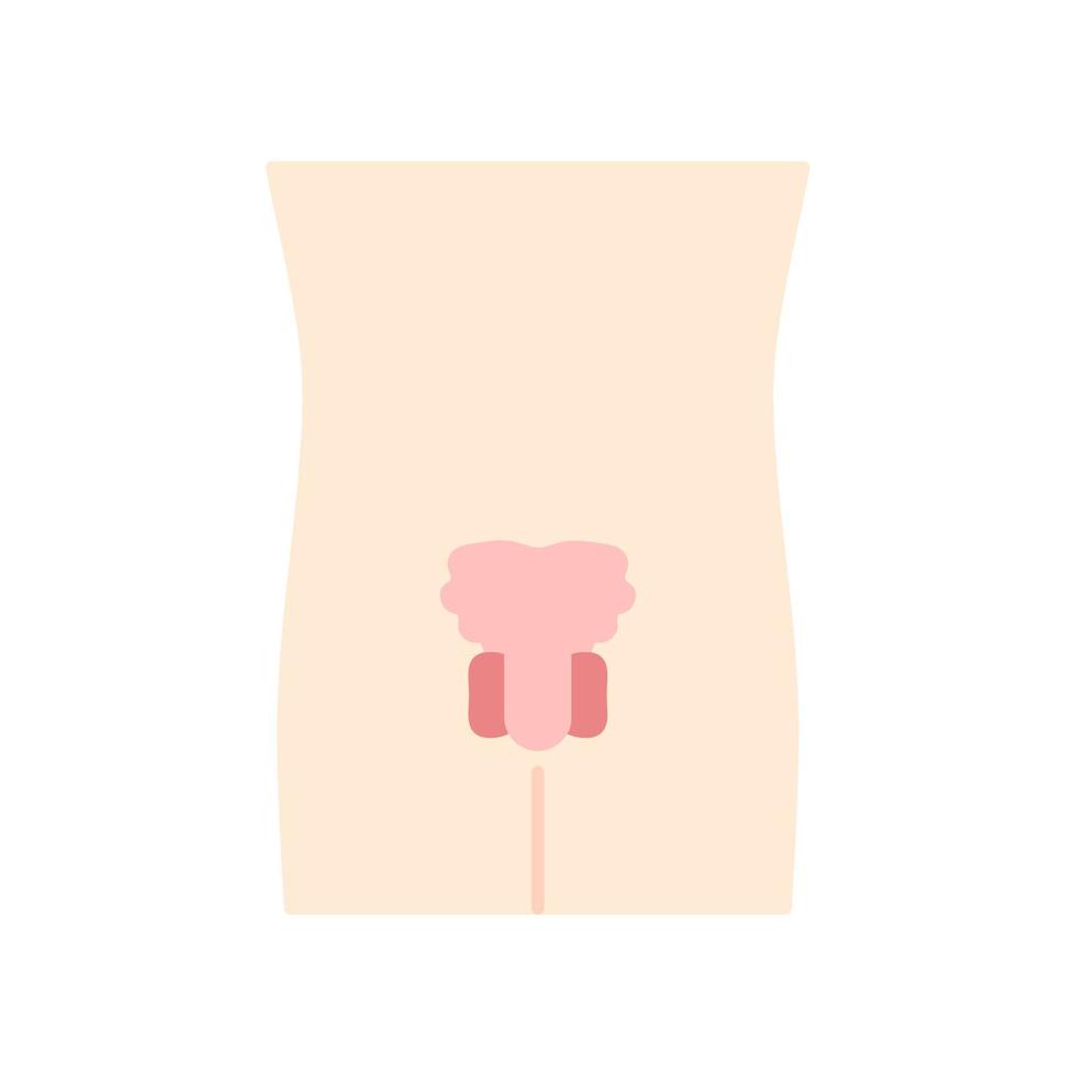 Ill men reproductive system flat design long shadow color icon. Sore human organ. People disease. Sick internal body part. Men health. Vector silhouette illustration