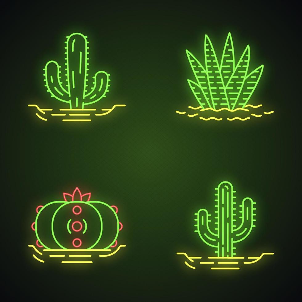 Wild cactuses in ground neon light icons set. Tropical succulents. Spiny plants. Mexican giant, saguaro, peyote, zebra cactus. Glowing signs. Vector isolated illustrations