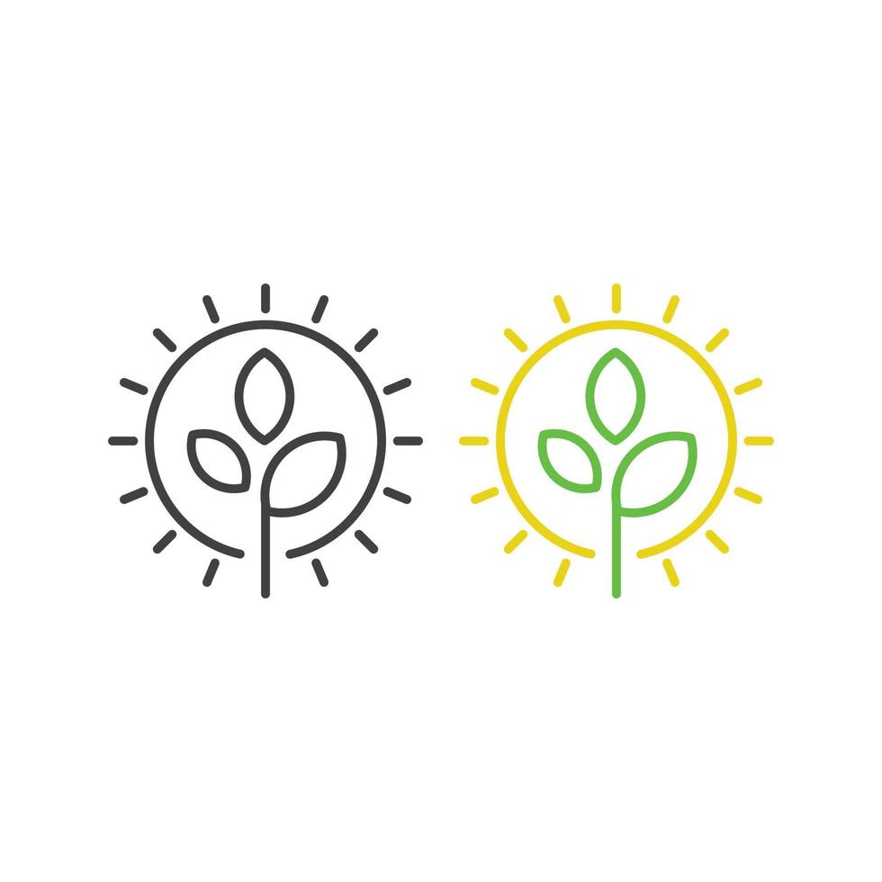 Photosynthesis, sun and plant. Vector icon template