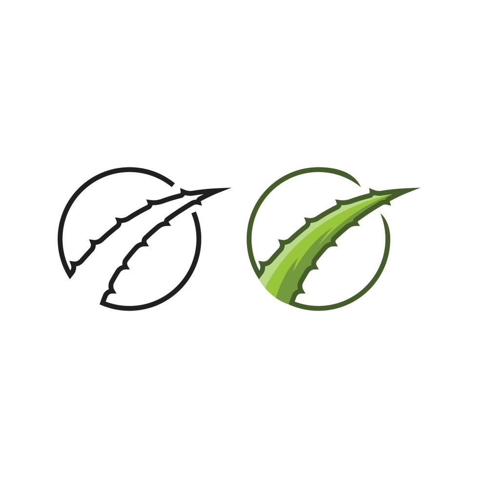 Aloe vera. vector logo icon template