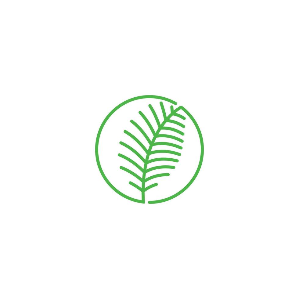 Palm leaf, tropical coconut leaf. Vector logo icon template