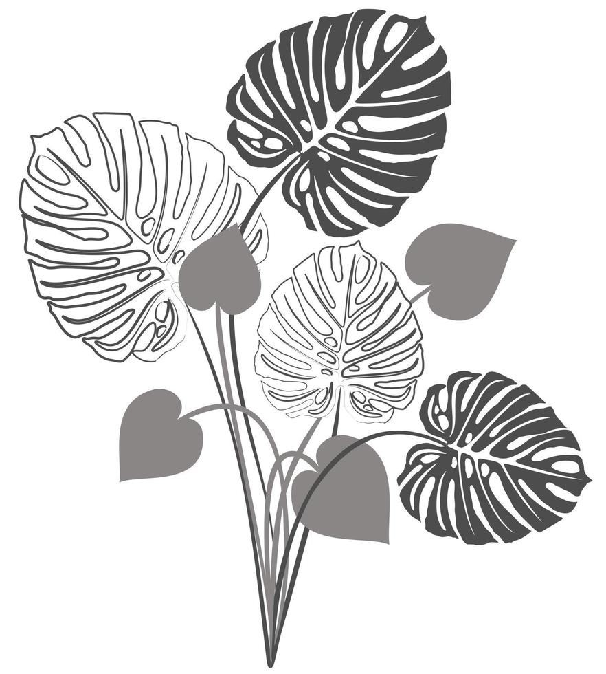 Vector isolated monochrome illustration of monstera bouquet.