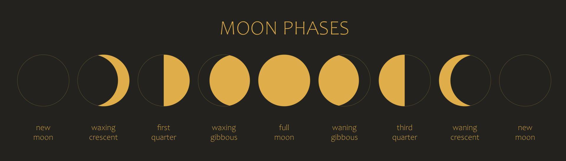 The Moon, Moon Phases on a black background. The whole cycle from the new moon to the full moon. Astronomy and lunar calendar vector illustration