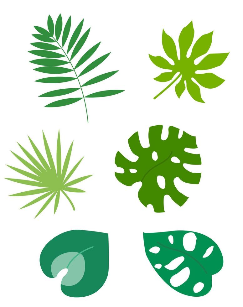 Set of tropical leaves vector