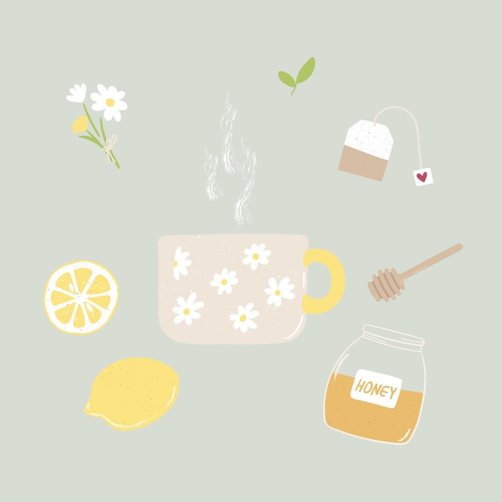 conjunto de elementos de la hora del té dibujados a mano vector