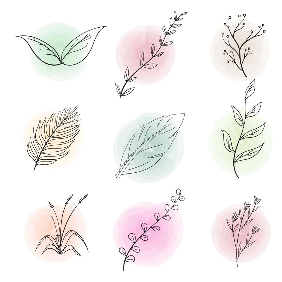 Sketch of hand-drawn flower leaves with a round watercolor background vector