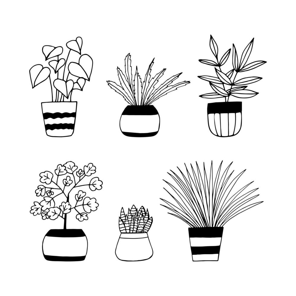 plantas de interior en macetas conjunto icono dibujado a mano. , minimalismo, escandinavo, monocromo, pegatina nórdica flores de plantas vector