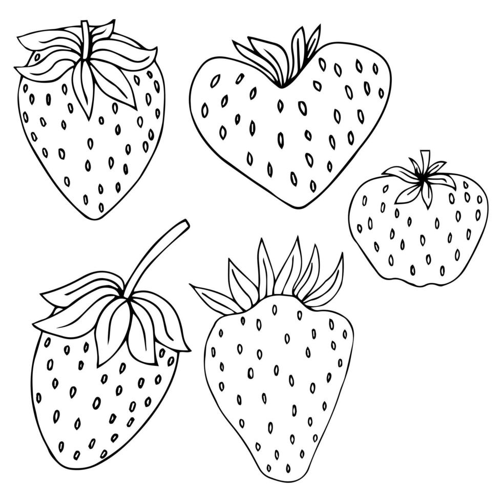 Set of isolated fruits strawberry vector