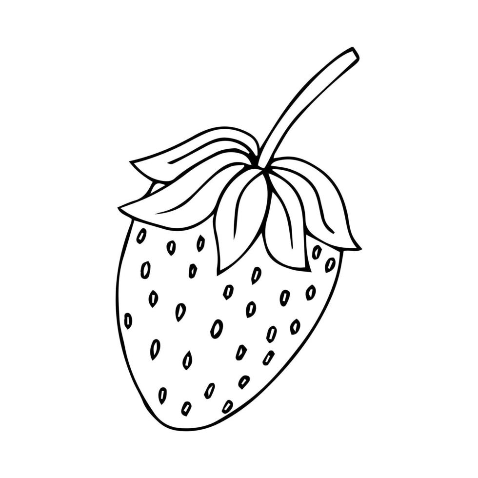 Strawberry hand drawn outline doodle icon. Vector sketch drawing of healthy berry - fresh raw strawberry for print, web, mobile and infographics isolated on white background.