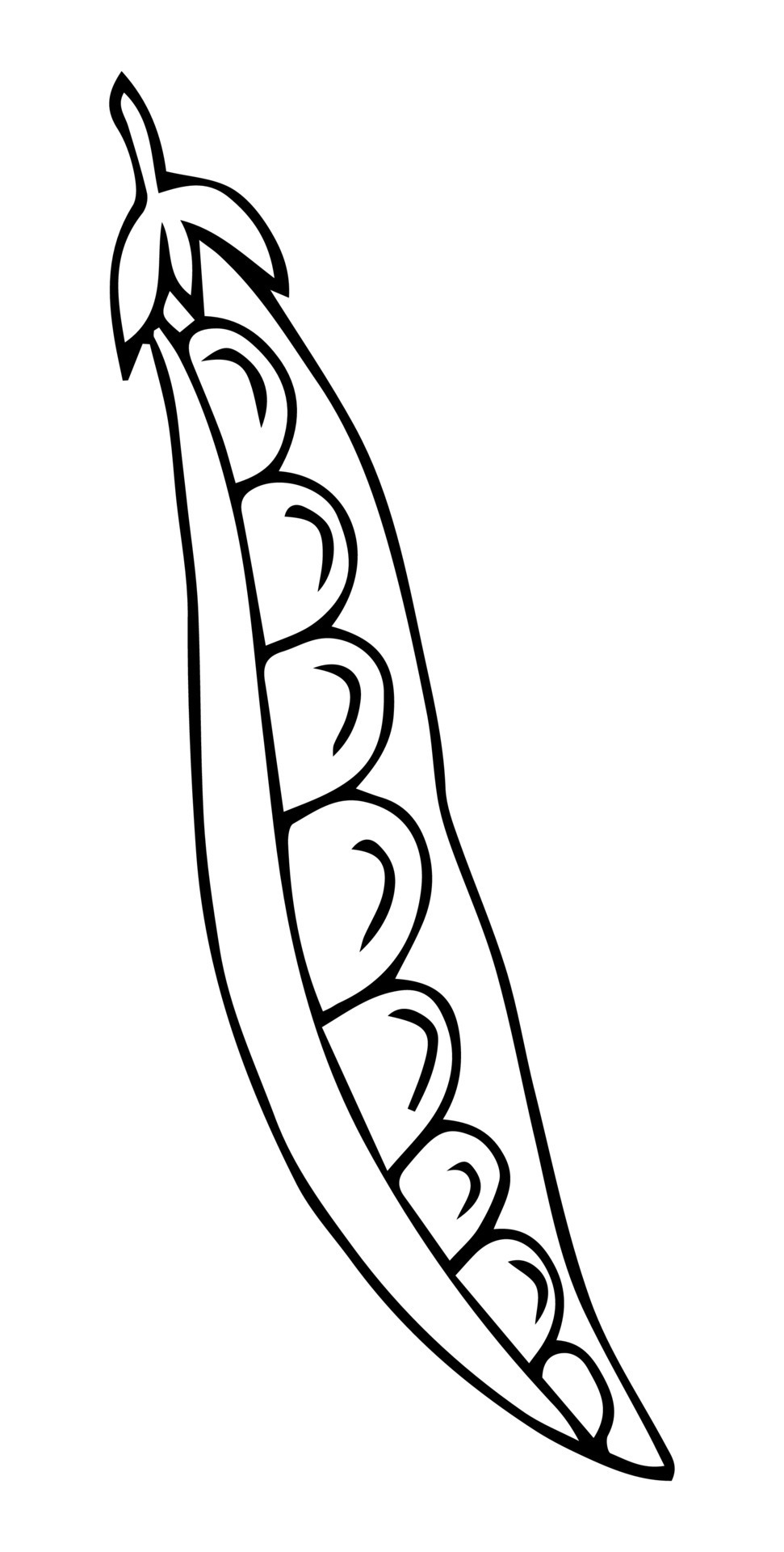 Peas, black and white image by a line. Peas in a row. Vegan and vegetarian  food. Vegetable. Adult and children coloring book. Stock vector image.  7386423 Vector Art at Vecteezy