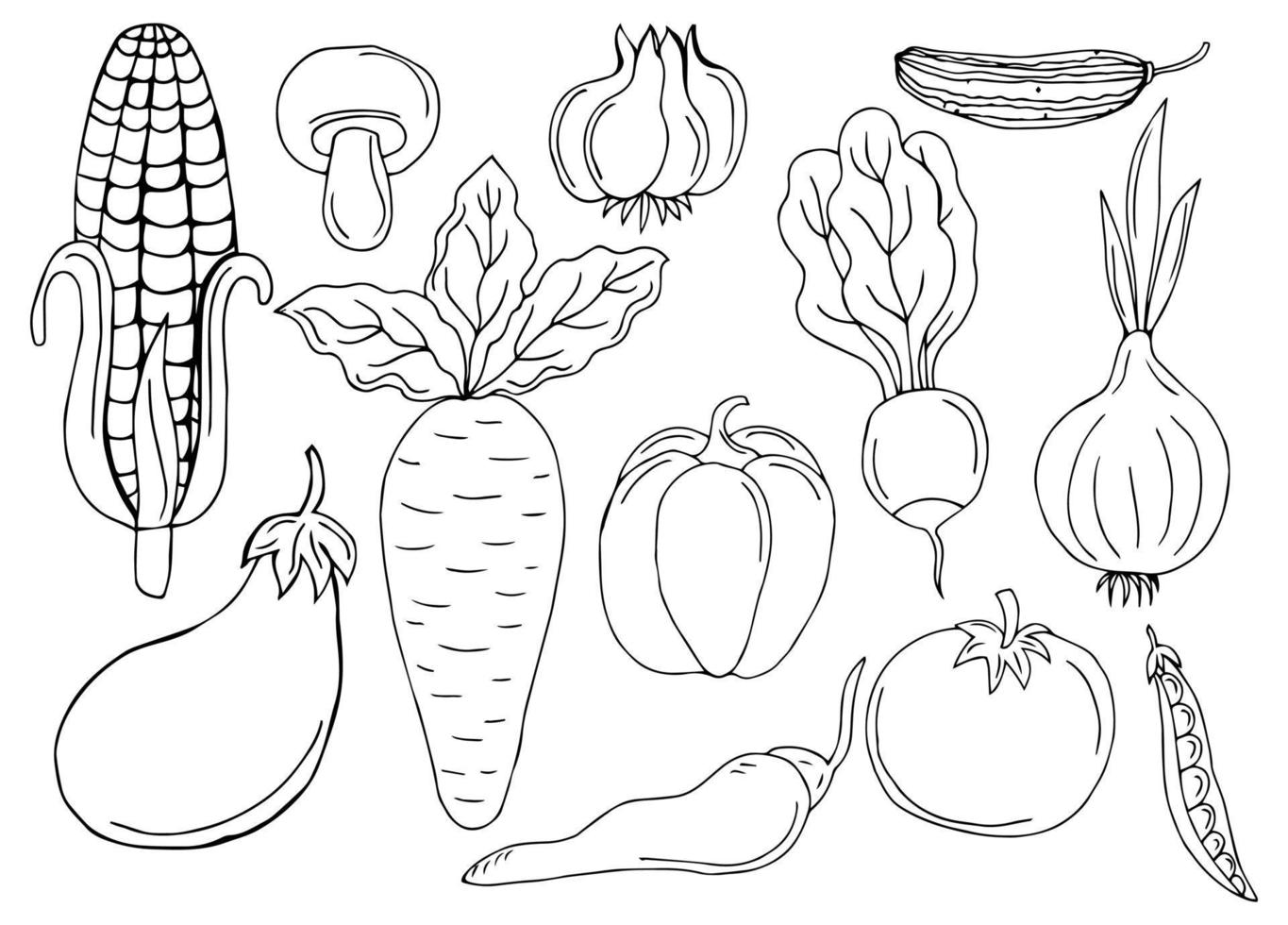 Sketch vegetable icon set vector illustration. Black line contour sketch vegetables, tomato and onion, potato and pepper doodle icon on white background for restaurant menu vintage design