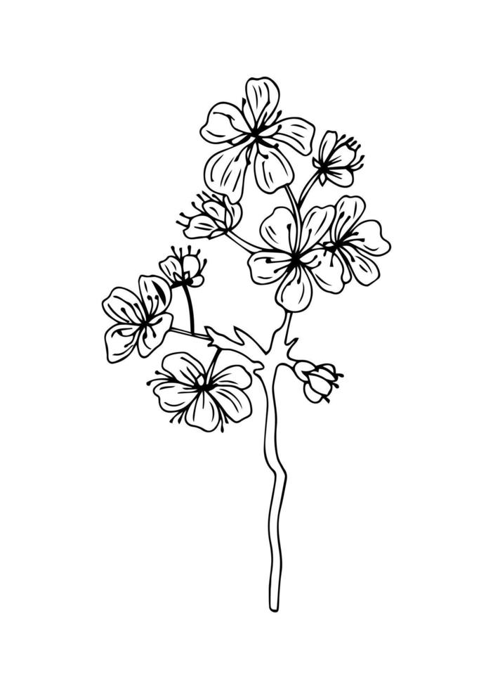 icono de garabato de flor de sakura. línea trasera aislada en blanco. dibujo floral de contorno de una línea. ilustración vectorial vector