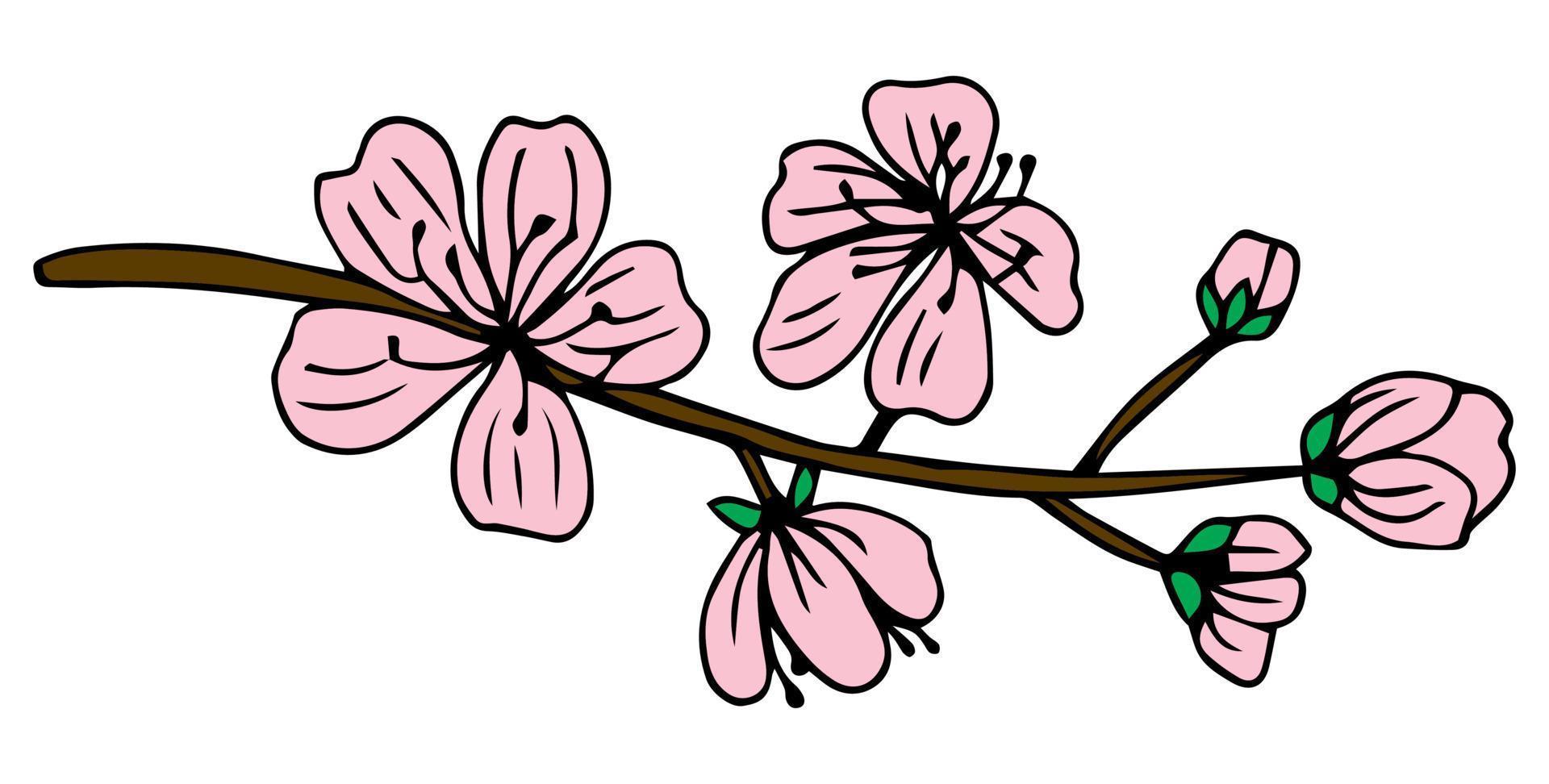 Sakura flower doodle icon. Back line isolated on white. One line contour floral drawing.Vector illustration vector