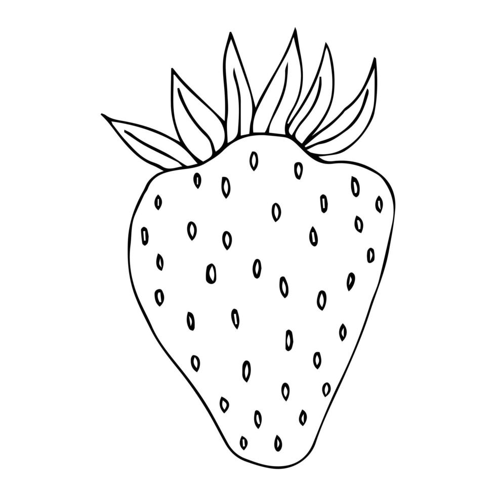 Strawberry hand drawn outline doodle icon. Vector sketch drawing of healthy berry - fresh raw strawberry for print, web, mobile and infographics isolated on white background.