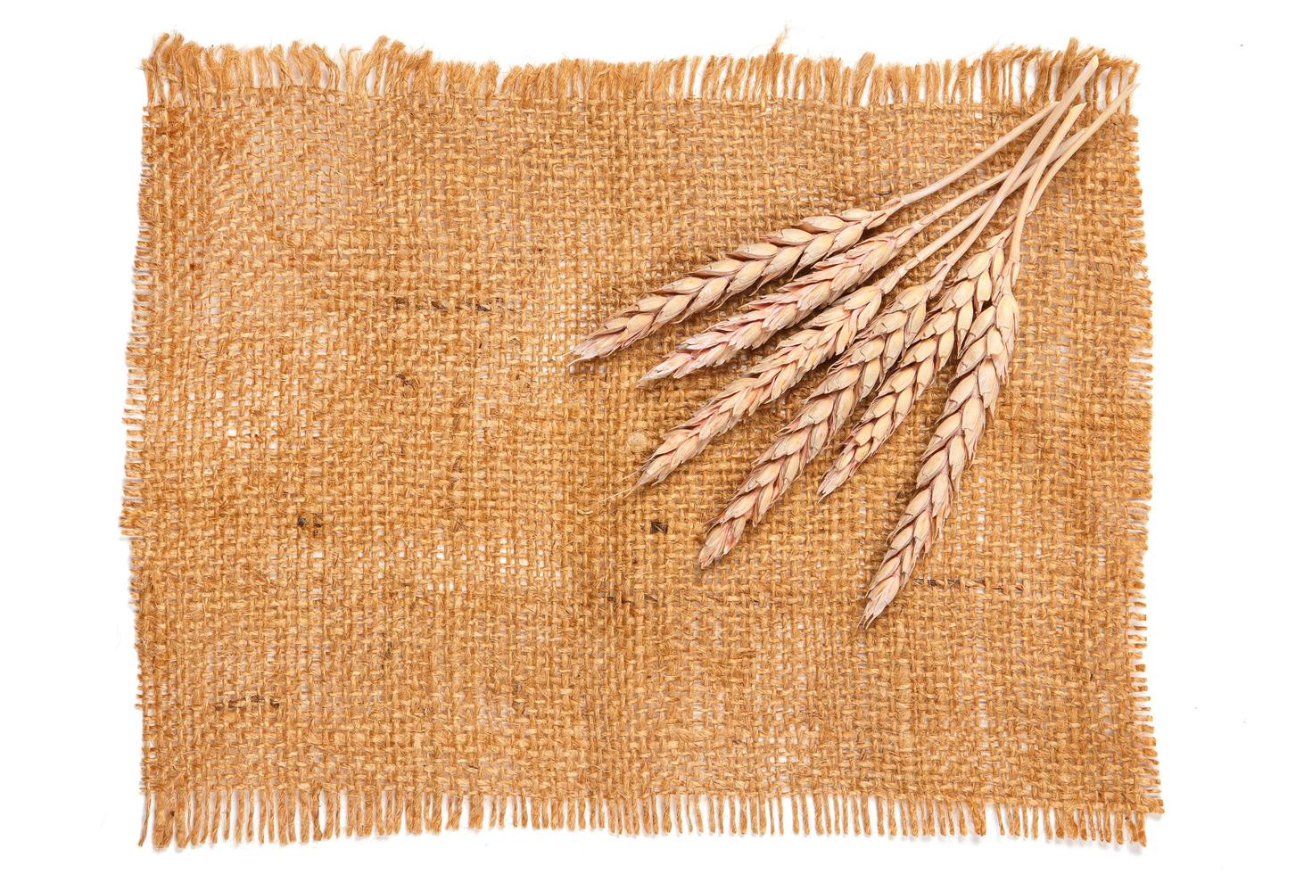 Sackcloth and wheat photo