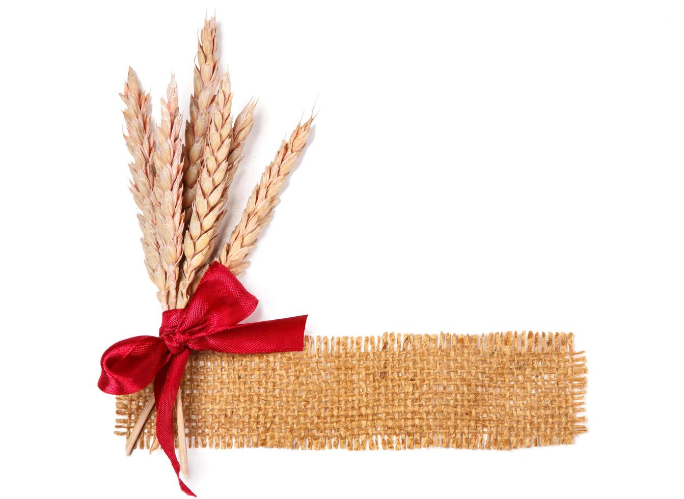 Sackcloth and wheat photo