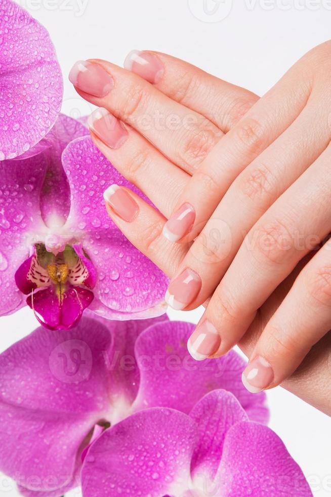 French manicure and orchid flower photo