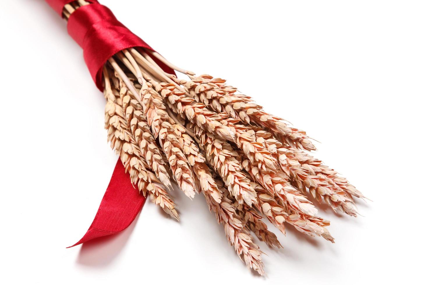 Ears of wheat photo